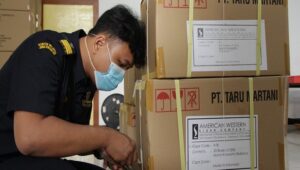 Difasilitasi Cukai Yogyakarta, Produsen Cerutu Lokal Berhasil Ekspor 29.963 Batang ke Pasar Jepang dan AS