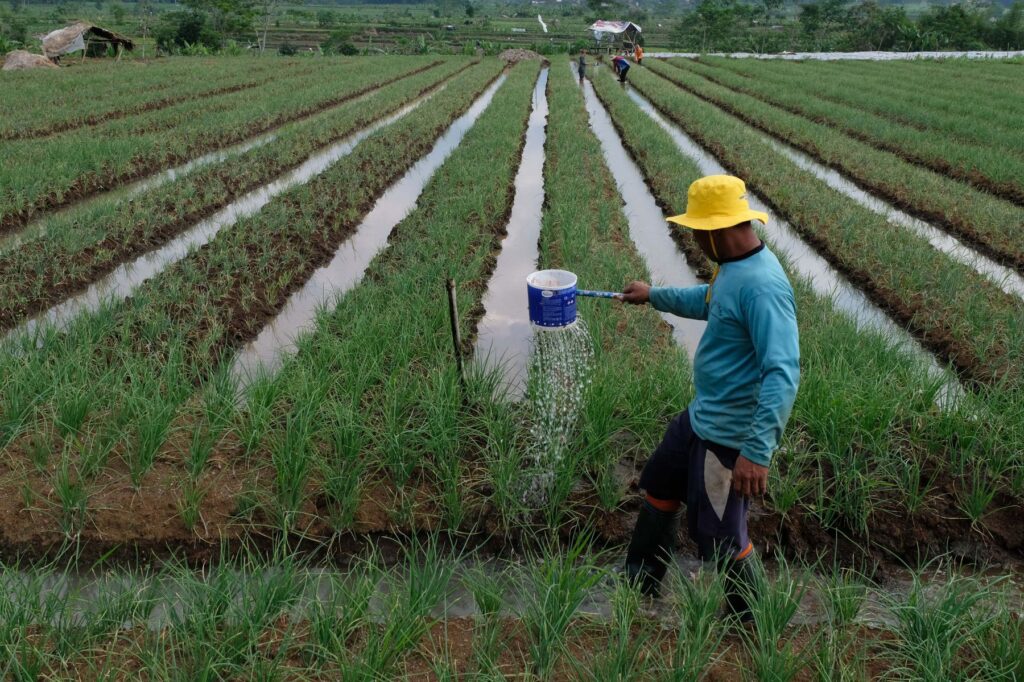 Gandeng BMKG, Pemkab Bantul Bina Kelompok Tani Pahami Iklim