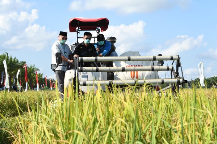 Dapat KUR, Mentan: Tingkatkan Produktivitas Pertanian di Wajo