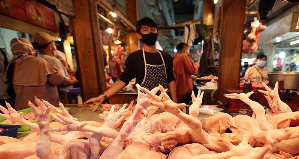 Kemendag Pastikan Indonesia Tak Akan Kebanjiran Ayam Impor