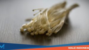 Mengenal Infeksi Listeria Akibat Jamur Enoki