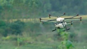 DKPP Probolinggo dan BPTP Jatim Gunakan Drone Semprot Hama