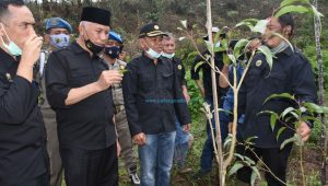 Gubernur Sumbar Mahyeldi Tantang Millennial Jadi Petani