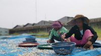 KKP Optimis Dengan Kelembagaan Dapat Menciptakan Nelayan Tangguh