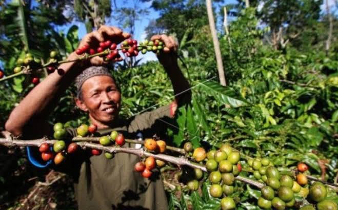 Kemenkop dan Perusahaan Korsel Latih Petani Blitar Strategi Pemasaran