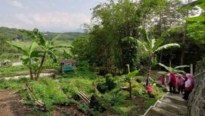 Pemkot Magelang Dukung “Jateng Gayeng Telung Ng” dengan Proklim