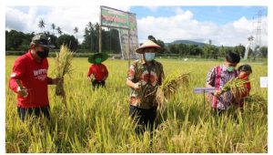 Perekonomian Sulut Tumbuh 1,87 Persen, Ditopang Sektor Pertanian