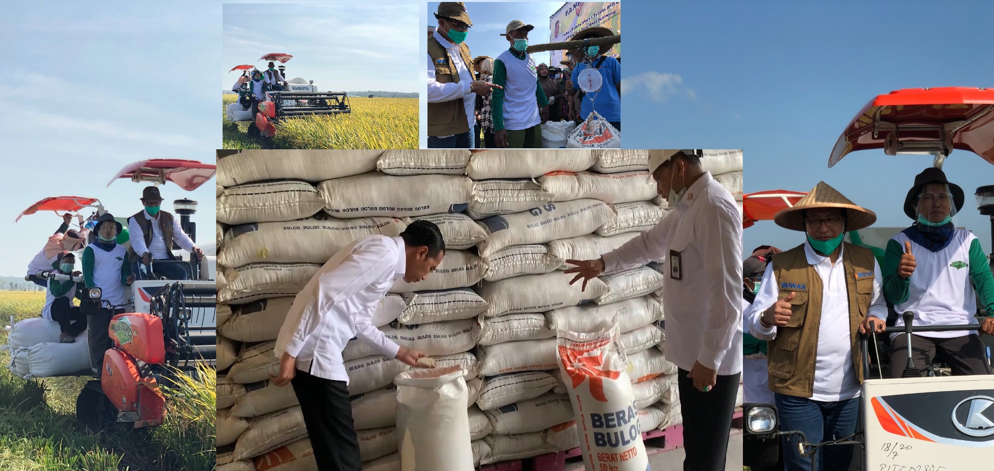 Isu Harga Beras Di Tengah Panen Berlimpah BULOG Cermati