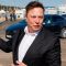 Elon Musk Bertanya kepada Twitter Apakah Dia Harus Menjual 10% Saham Tesla-nya – Majalah Time.com