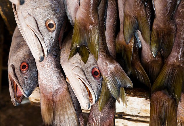 Kadar merkuri dalam makanan ikan tradisional masih cukup rendah – Majalah Time.com