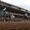 Knicks Go memenangkan Breeders’ Cup Classic; Pemenang Kentucky Derby Medina Spirit finis kedua – Majalah Time.com
