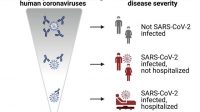 Paparan Virus Corona yang Tidak Berbahaya Meningkatkan Kekebalan SARS-CoV-2 – Majalah Time.com