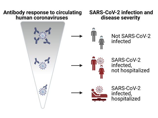 Paparan Virus Corona yang Tidak Berbahaya Meningkatkan Kekebalan SARS-CoV-2 – Majalah Time.com