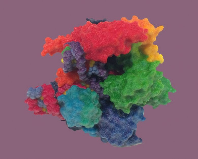 Temuan baru tentang hubungan antara pengeditan gen CRISPR dan sel kanker yang bermutasi – Majalah Time.com