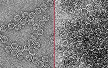 ‘Menyadap’ air yang tidak diolah menghilangkan lebih banyak virus yang terbawa air – Majalah Time.com