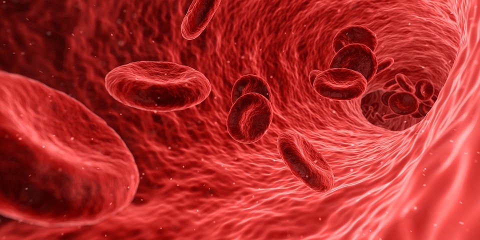 Ilmuwan Laboratorium Biologi MDI Memajukan Prospek Regenerasi pada Manusia – Majalah Time.com