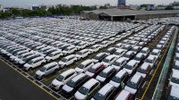 Pemerintah Beri Subsidi Tarif PPnBM Sektor Otomotif, LCGC 100 Per Pemerintah Beri Subsidi Tarif PPnBM Sektor Otomotif, LCGC 100 Per