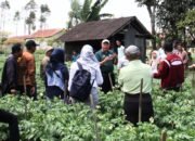 Dari Pemalang untuk Indonesia: Ketika Benih Lokal Membuktikan Kualitas Terbaiknya