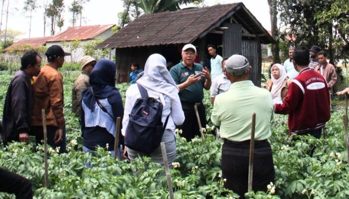 Dari Pemalang untuk Indonesia: Ketika Benih Lokal Membuktikan Kualitas Terbaiknya