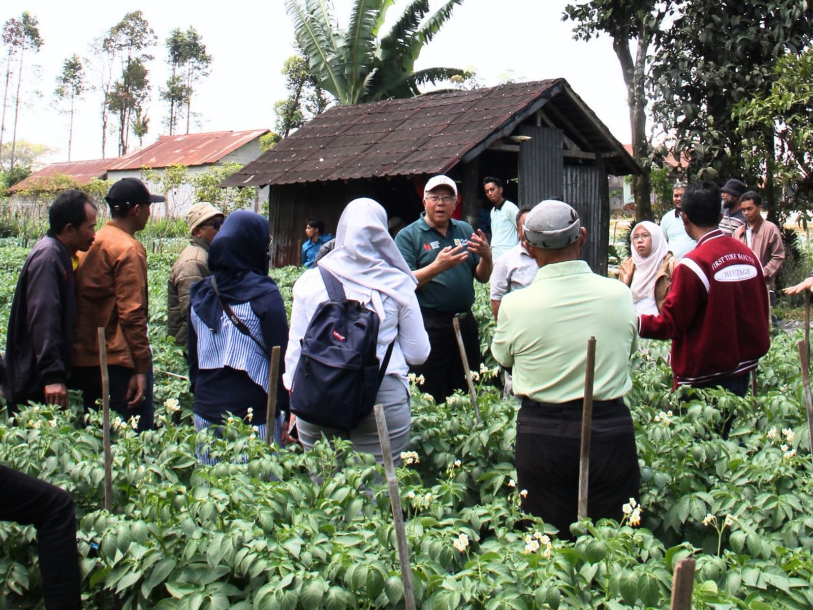 Dari Pemalang untuk Indonesia: Ketika Benih Lokal Membuktikan Kualitas Terbaiknya Dari Pemalang untuk Indonesia: Ketika Benih Lokal Membuktikan Kualitas Terbaiknya
