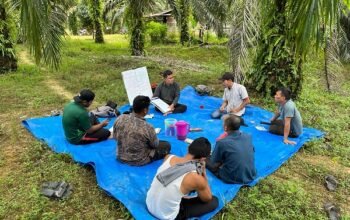 Musim Mas Rampungkan Program Lima Tahun untuk Petani Swadaya di Aceh, Perkuat Mata Pencaharian Petani Sawit dan Pelestarian Lingkungan Musim Mas Rampungkan Program Lima Tahun untuk Petani Swadaya di Aceh, Perkuat Mata Pencaharian Petani Sawit dan Pelestarian Lingkungan